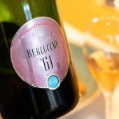 Sommerzeit ist Marillenzeit