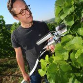 Frankens Wein lechzt nach Wasser