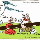 Hägar der Schreckliche