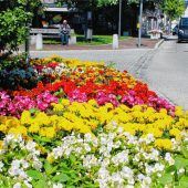 Kolbermoor blüht in allen Farben