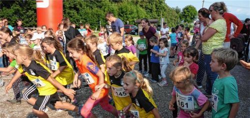 Auf die Plätze, fertig, los!