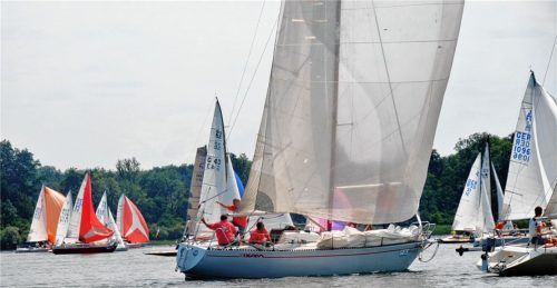 Bei der Sommerregatta des SCPC lagen diesmal die Einrumpfboote vorne.Foto Niessen