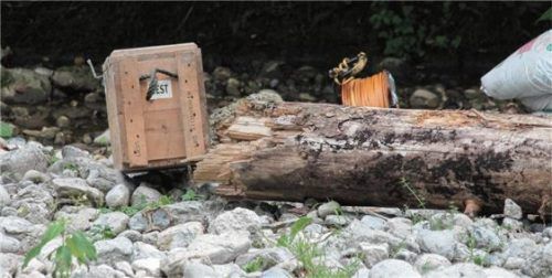 Brisanter Fund: Spezialisten mussten die Raketen-Panzerbüchsgranate im Auerbach sprengen. Foto reisner