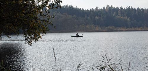 Der Hofstätter See ist ein 0,58 Hektar großer See. Ein Wanderpfad ermöglicht es, fast den ganzen See ufernah zu umrunden. Seit Jahren ist er Zankapfel zwischen der Stadt Rosenheim sowie den Gemeinden Prutting und Vogatreuth. Eine Bürgerinitiative kämpft darum, dass dort von den Stadtwerken kein Wasser entnommen wird. Foto niessen