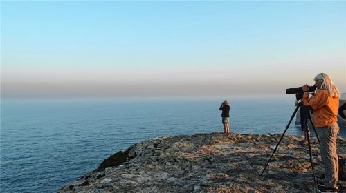 Im Oktober herrscht an der Südküste Portugals Hochbetrieb am Himmel, wenn neben den ansässigen Vogelarten auch Zugvögel dort Station machen. Foto  spea