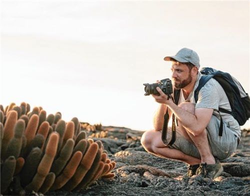 Naturliebhaber finden auf den Galapagosinseln eine reichhaltige Vegetation.