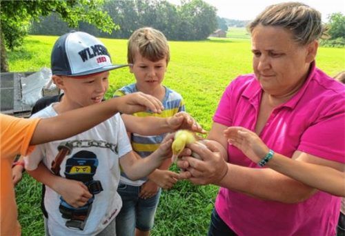 Schule geht auf den Bauernhof