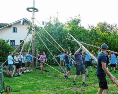 Stellten den Hochzeitsbaum für die jungen Eltern auf: kräftige Männer aus Hohenofen. Foto Aerzbäck