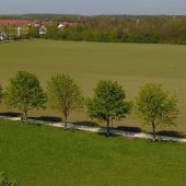 Kirchheim soll aufblühen