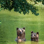 Temperatur-Sturz in die Normalität