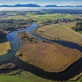 Lebensadern statt Krampfadern