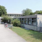 Abholzen für die neue Schule