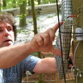 Experimente für den Wald der Zukunft