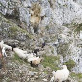 Sommerfrischler auf dem Weg ins Tal