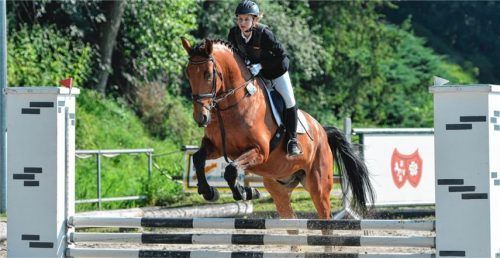 Anna Zuckermaier zeigte auf Mr. Nobody im Springparcours mit einer harmonischen Runde, was sie im Unterricht der Reitschule des Reit- und Fahrvereins gelernt hat.