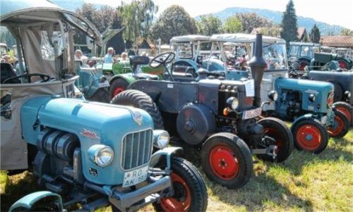 Bulldogs als Blickfang