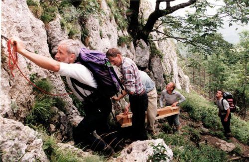 Da geht’s rauf! Das Bild stammt aus dem Jahr 2008, als das bislang jüngste Exemplar auf die Wassererwand gehievt wurde.Fotos  privat