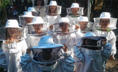 Emsige Ferienkinder: Ein „Arbeitstag“ bei den Bienen