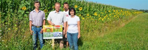 Freuen sich über die Blütenpracht in den Panger Feldern: die Landwirte Thomas Mayr, Josef Steingraber und Thomas Fischbacher gemeinsam mit Naturschutzwächterin Katharina Schlegl-Kofler. Fotos Duczek
