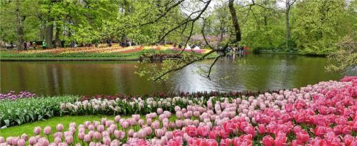 Idyllische Parklandschaft in Keukenhof.