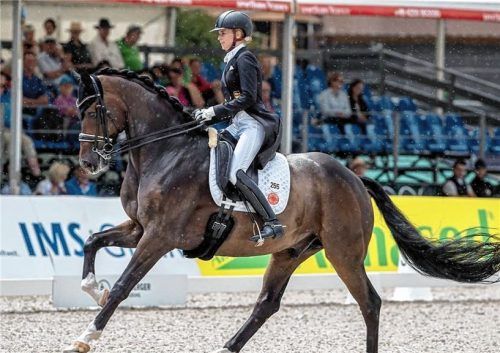 Jessica von Bredow-Werndl hat mit Ferdinand BB in Donaueschingen begeistert.
