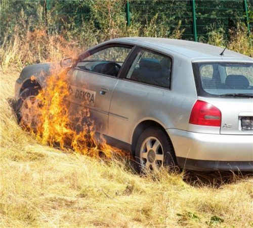 Katalysator-Brand auf trockener Wiese. Foto Foto: Auto-Medienportal.Net/Dekra