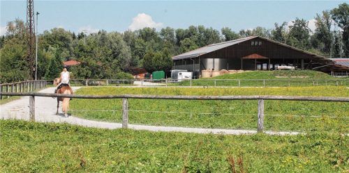 Passt in die Landschaft und darf deshalb erweitern, findet die Mehrheit im Stadtrat: der Pferdehof in Happing, der einen weiteren Stall und eine Reiterhofpension bauen möchte. Foto Reisner