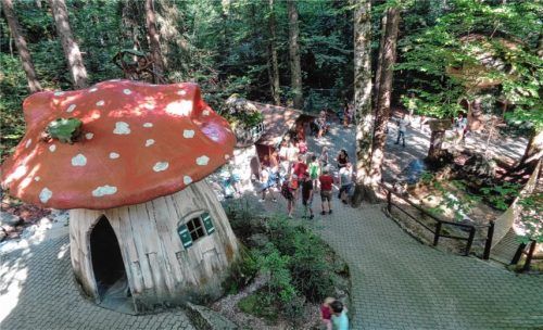 Viel Spaß mit Schwammerlrutsch und Bockerleisenbahn