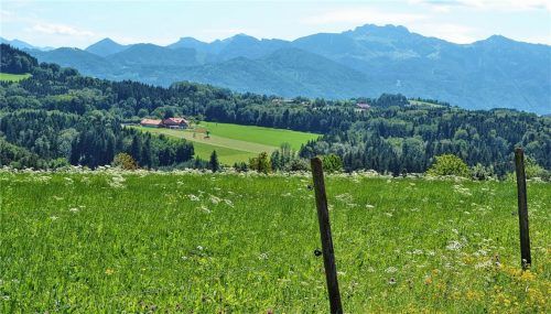 Wiesen warten auf zweiten Schnitt