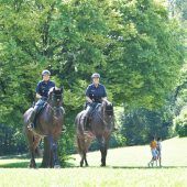 „Ein Polizeipferd muss viel lernen“