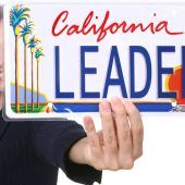 Nummernschilder werden smart