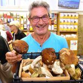 „Es ist Schwammerl-Schwemme“