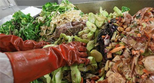 Bioabfälle können ab sofort auch in den Landkreis-Kompostieranlagen in Bruckmühl und Eiselfing kostenlos abgegeben werden. Foto dpa