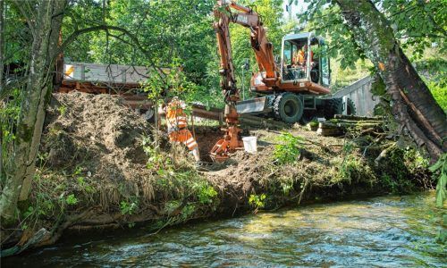 Bis an die Leitplanke hatte sich der Biber schon durchgegraben. Foto Berger