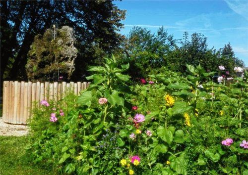 Blütenpracht an der Blumenstraße – Nomen est Omen