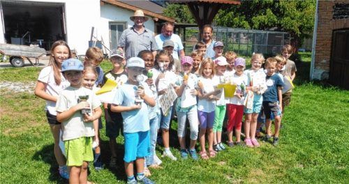 Den Tauben genau auf die Flügel geschaut