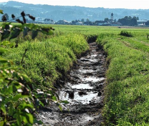 Die Idylle trügt. Das Abkehr-Restwasser des Goldbachs ist zu gering. Per Hydranten sorgten Kommunen, Landratsamt und Wasserwirtschaftsamt gestern für Abhilfe.