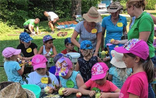Die Streuobstwiese mit allen Sinnen erfahren