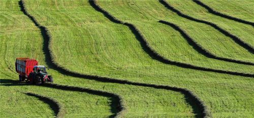 Ein Landwirt bringt im Abendlicht das frisch gemähte Gras ein. Oberbayerns BBV-Bezirkspräsident Anton Kreitmair: „Zwischen 2008 und 2017 sind in den Landkreisen Rosenheim und Miesbach knapp 2000 Hektar landwirtschaftliche Fläche verloren gegangen. Das heißt, dass die Fläche von mehr als 80 Bauernhöfen verschwunden ist.“Foto dpa