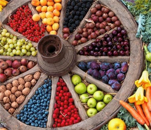 Ein optischer Augenschmaus ist das Wagenrad, das der Kreisverband München für Gartenbau und Landespflege e.V. aus verschiedenen Früchten und Samen dekorativ gestaltet hat. Foto  Franz Höck, Botanischer Garten München-Nymphenburg