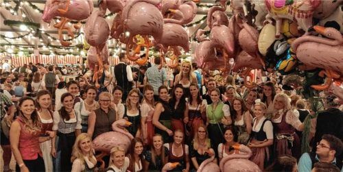 Faschingsgilde Vogtareuth und die fliegenden Flamingos