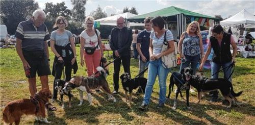Für Zwei- und Vierbeiner gab es am Samstag ein Fest auf dem Gelände, auf dem der Tierheim-Neubau entstehen soll.Foto kob