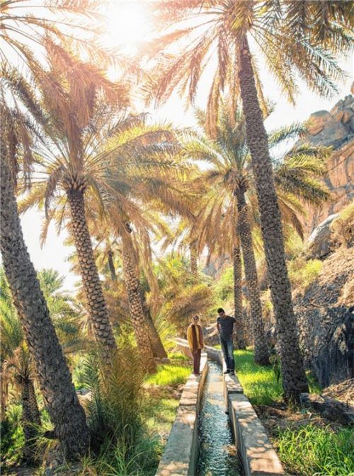 Grüne Oasen mitten in der weiten Wüstenlandschaft laden seit Jahrhunderten zum Verweilen ein. Foto  djd/Sultanate of Oman