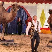 Circus Boldini gastiert am Festplatz