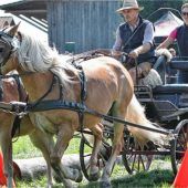Geschickt mit Pferd und Kutsche