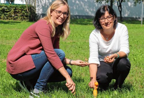 Stephanie Till und Birgit Heinold-Peste (links) von der Stadtverwaltung pflanzen im Sparkassenpark schon mal die ersten Blumen zur Probe. Am 11. Oktober geht es los.