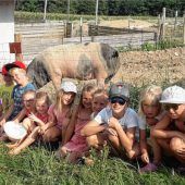 „Tierisches“ Ferienprogramm in Taufkirchen