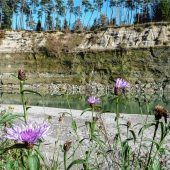 Wanderung mit dem Bund Naturschutz zum schönen Steilhang