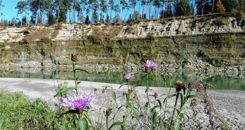 Wanderung mit dem Bund Naturschutz zum schönen Steilhang
