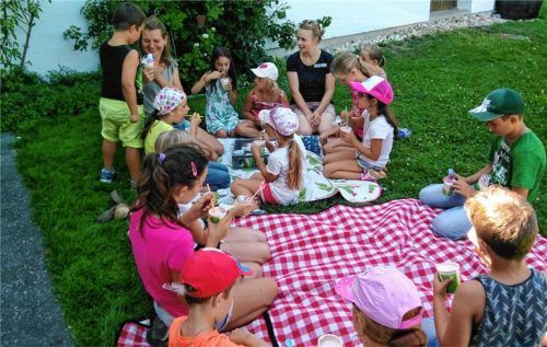 Wie funktioniert das Leben und die Arbeit auf einem Bauernhof